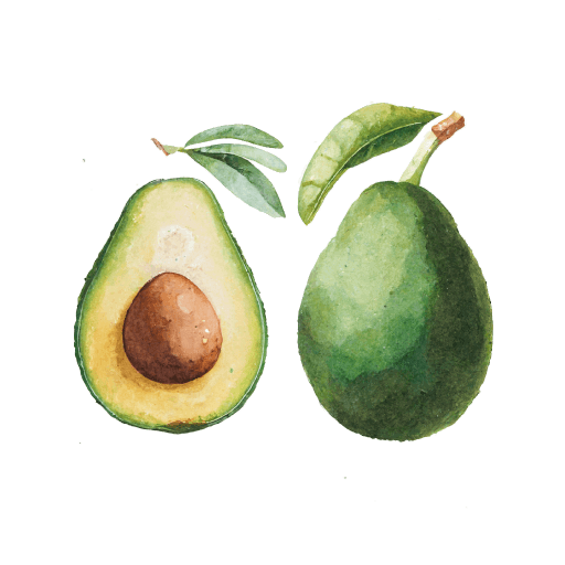 Illustration of Avocado